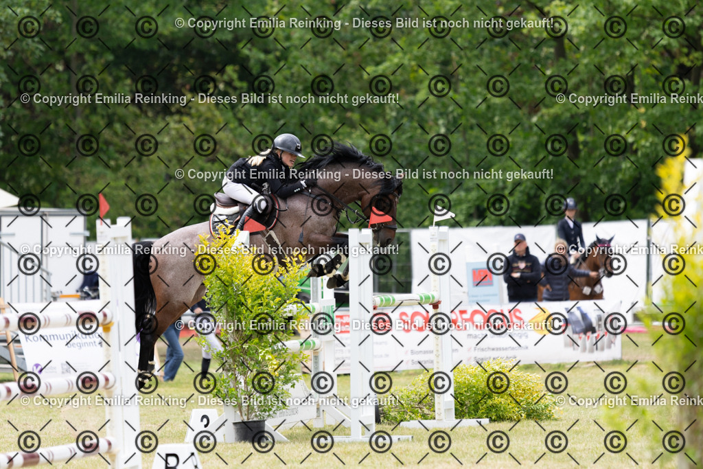 CL5A8100 | Emilia Reinking Fotografie - Realisiert mit Pictrs.com