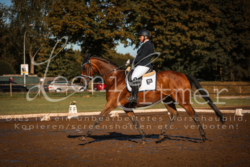 13.SoDrA100323 | Leoni Ertmer Photography - Realisiert mit Pictrs.com
