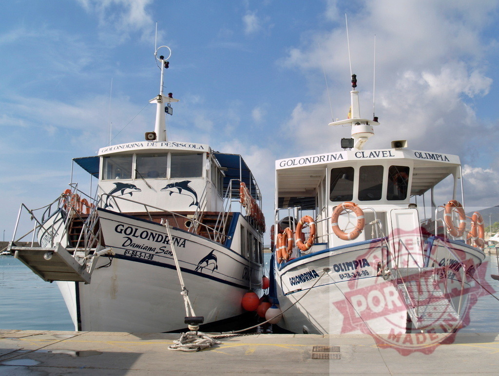 Tour boats Golondrina Peñíscola moored in harbor | Two Golondrina tour boats floating in a Spanish harbor under blue sky - Realized with Pictrs.com