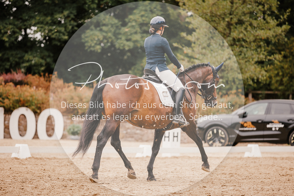 3I6A5969 | Stimmungsvolle Portraits und Reitsportfotografie im Ruhrgebiet und im Münsterland.

Pferdefotografie, Hundefotografie, Tierfotografie, Reportagen, Portraits von Tier und Mensch, Turnierfotografie in Bochum, Recklinghausen, Marl, Haltern am See, Dülmen.. - Realisiert mit Pictrs.com