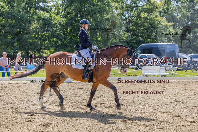 16.8.25 D2 DRE L-39 | mandyhollmannphotographie