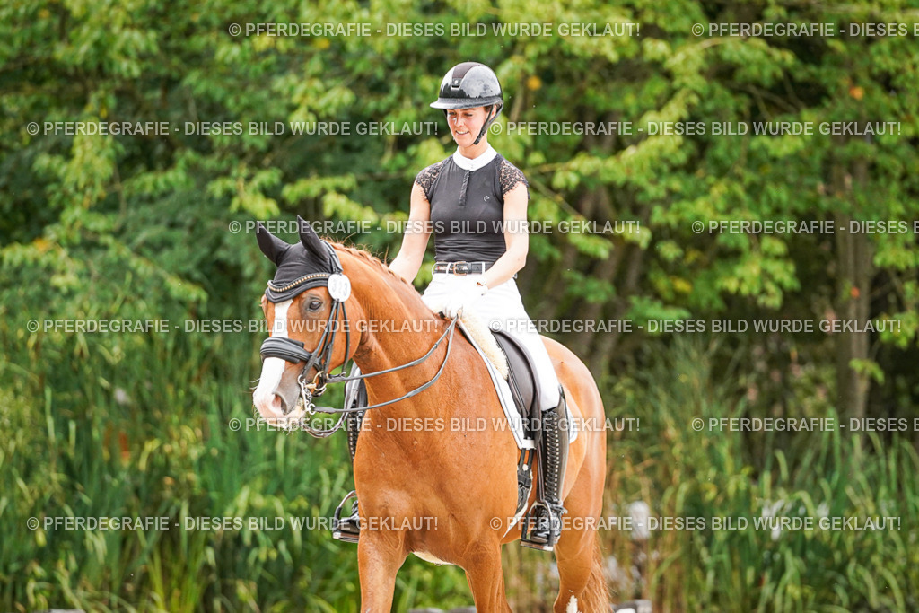 DSC08020 | Pferdegrafie