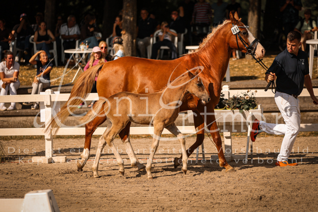10.DoRP00171 | Leoni Ertmer Photography - Realisiert mit Pictrs.com