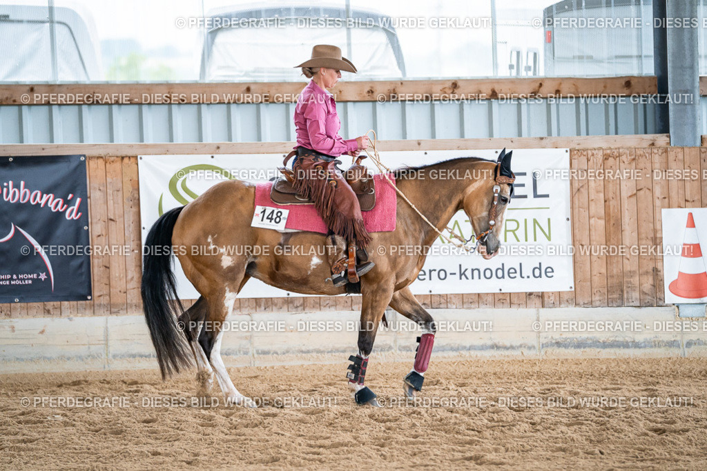 DSC08942 | Pferdegrafie