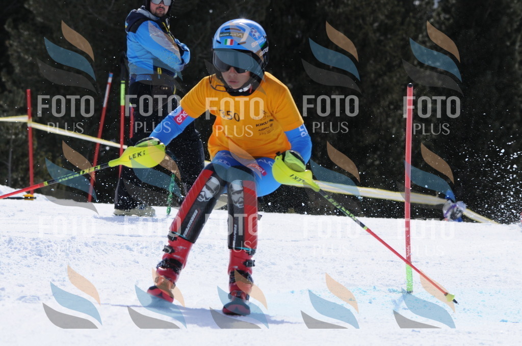 C9368 | holidayphoto