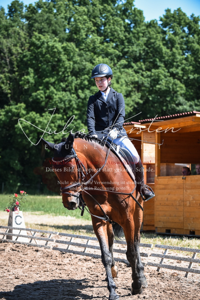 DSC_2762 | Pferde- und Turnierfotografie in Westsachsen. Pferdeportraits, Auftragszeichnungen und intuitive Kunst.