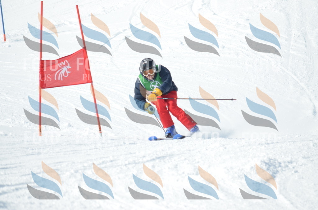 D9082 | holidayphoto