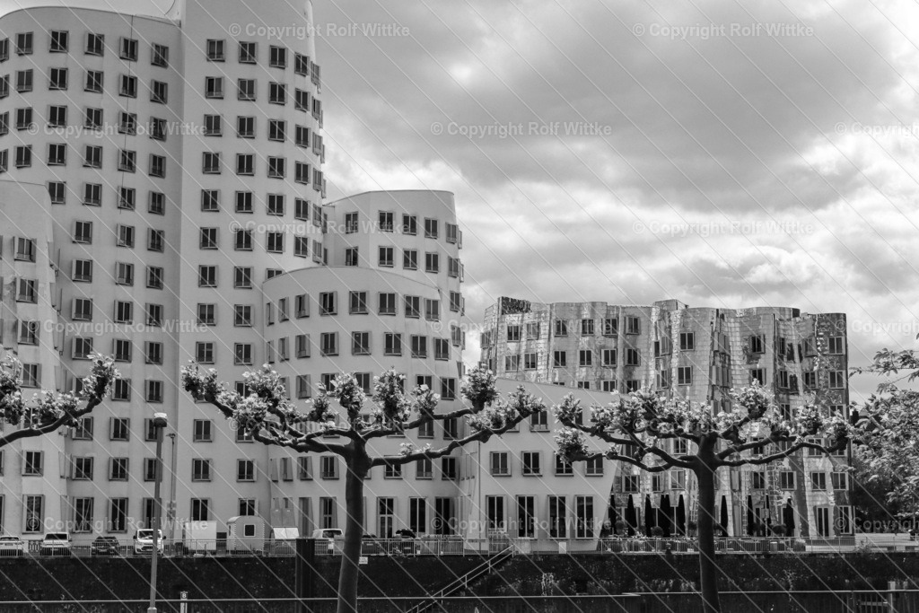 Gerry  SW | Rolf Wittke  - Realisiert mit Pictrs.com