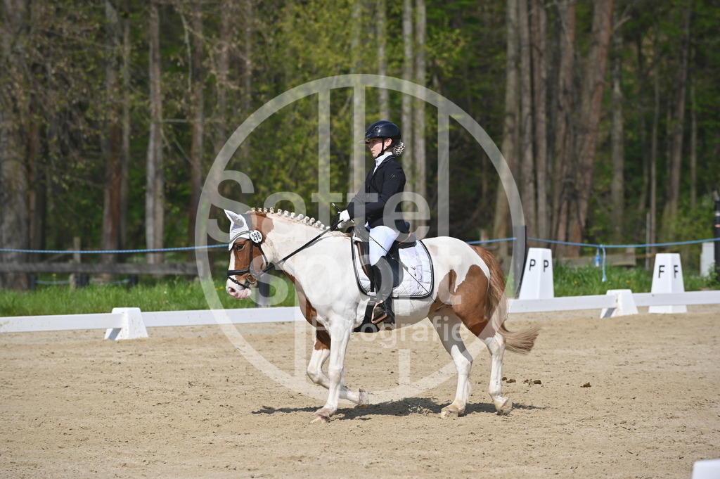 DSC_0975 | sattelsport - Realisiert mit Pictrs.com