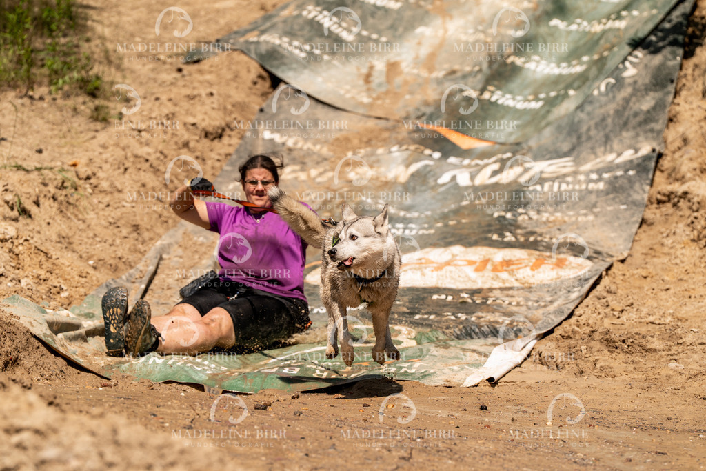 madeleinebirr.fotografie.2026.CC-hoope.14-16-28.2046 | hundefotografie-birr