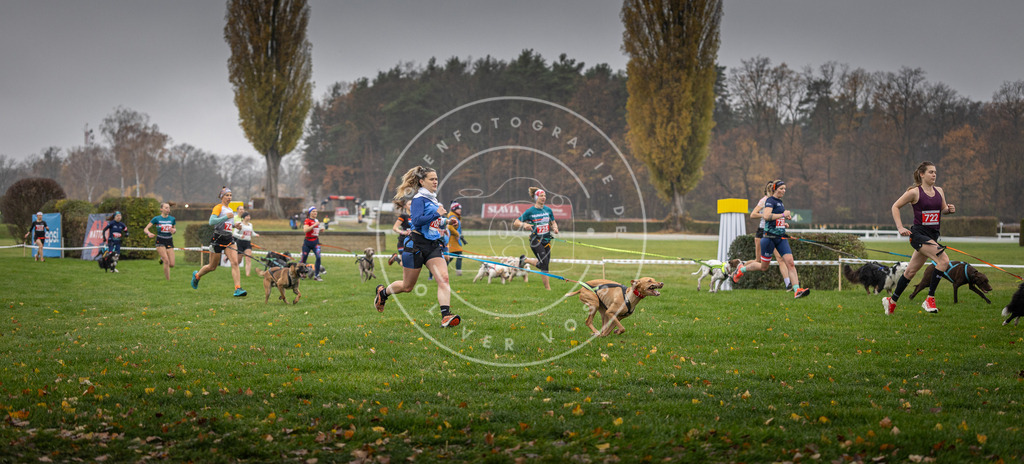 CaniXpix_DV3A8839 | Hundefotografie, Tierfotograf, Pfotenfotografie, Fotoshooting Hund, Hunde Portrait, Hundesport, Hundeportraits, Heideshooting, Hunde, Sportfotograf, Hundefotograf, Turnierhundsport, THS,  - Realisiert mit Pictrs.com