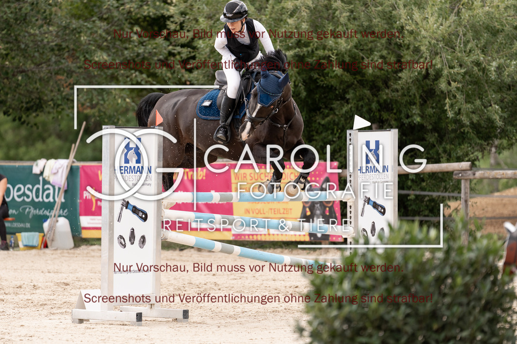 DSC06690 | Springturnier_Teamchallege_Talheim_2026, Katharina_Buck, Ultimo_137