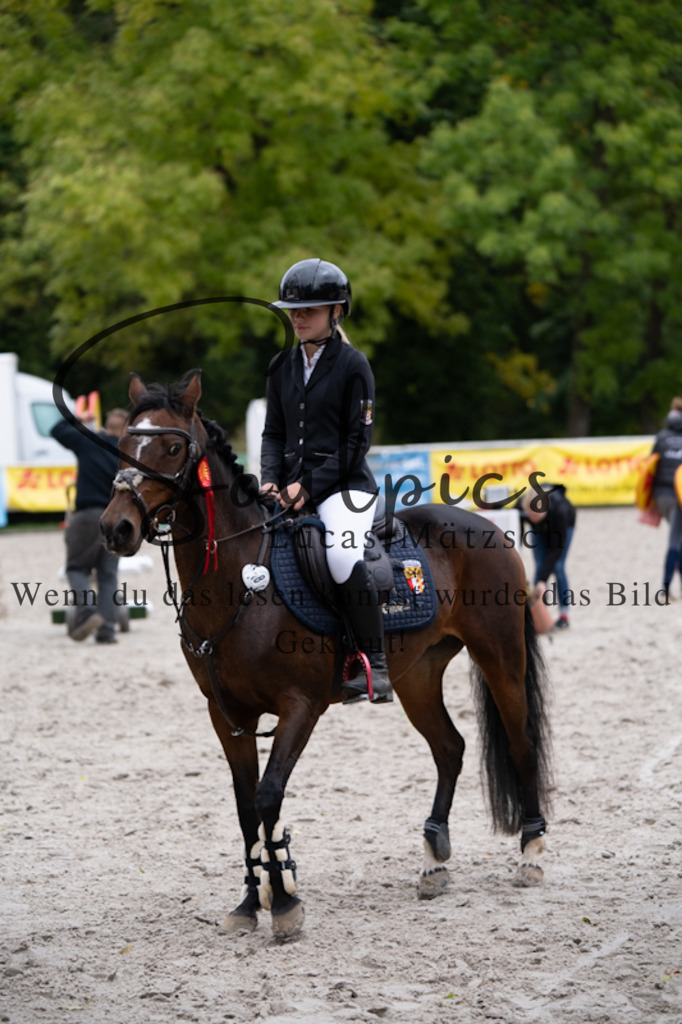 A7V09594 | Pferdefotograf