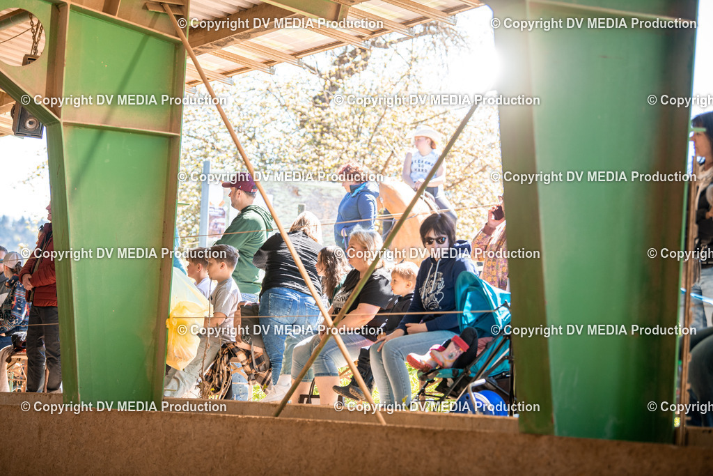 Balingen Tag 1-478 | dv-media-shop - Realisiert mit Pictrs.com