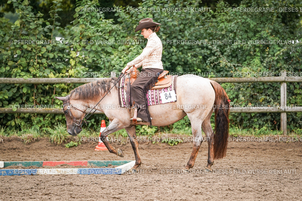 DSC03074 | Pferdegrafie