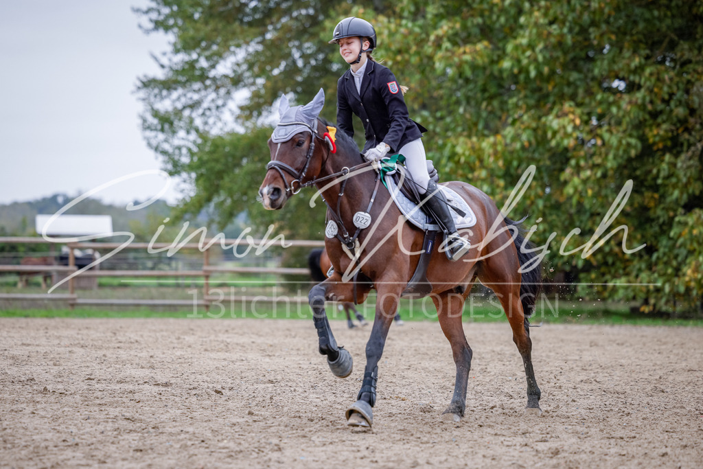 20251012-_3LI4801 | Tierfotografie Pferde, Hunde, Katzen, Haustiere.
Turnierfotografie Reitturniere, Reiten, Springreiten, Dressur in Hanau, dem Main-Kinzig-Kreis und dem Rhein-Main- Gebiet um Frankfurt