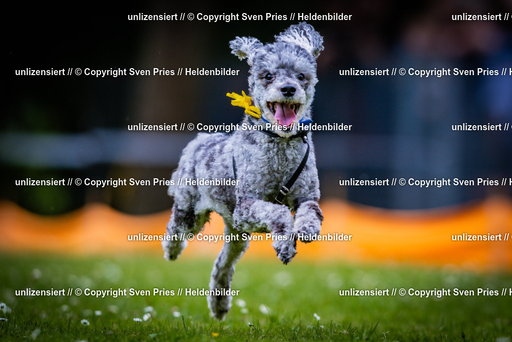 Sven Pries | 2025-05-29 - Pudelrennen KA-Durlach - Realisiert mit Pictrs.com
