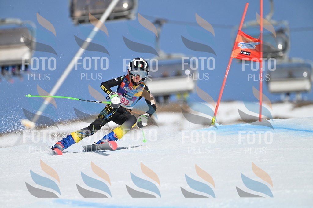 BGV_9308 | holidayphoto