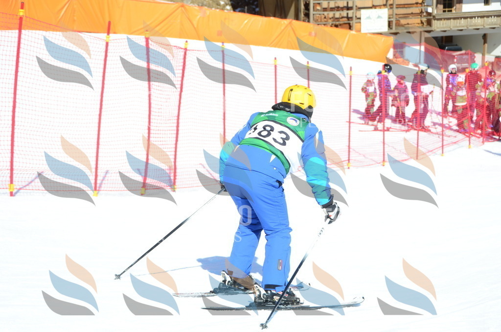 C6430 | holidayphoto