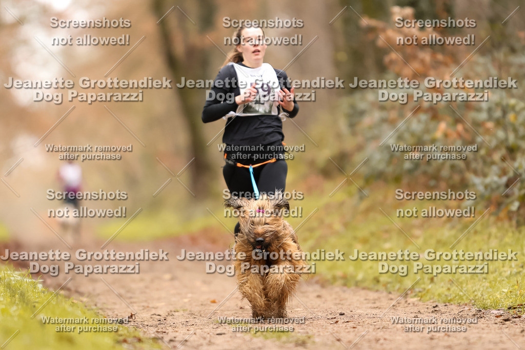 Dog Paparazzi - Speedhunter Mannheim  2025-170 | Dog Paparazzi Jeanette Grottendiek Fotografie & Videografie