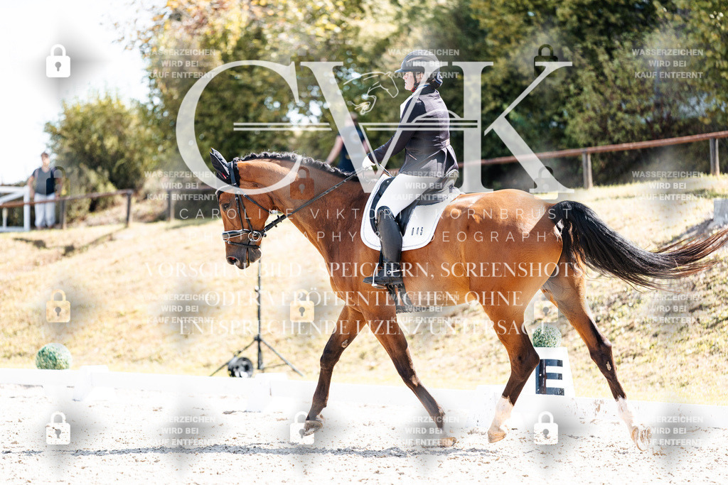 CK903169 | Turnierfotografie Pferdefotografie Trier Rheinland-Pfalz Pferdesport Reitsport Tierfotografie Sportfotografie Pferdevideo Pferdevideografie Equestrianvideography equestrianphotography  - Realisiert mit Pictrs.com