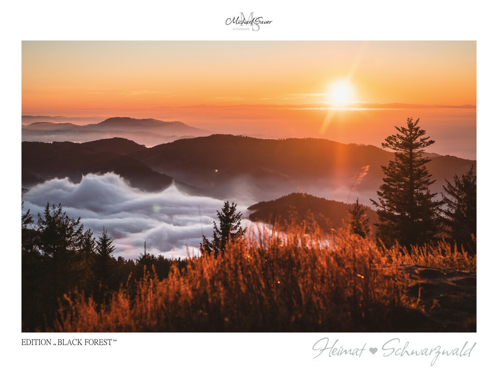 Edition "BLACK FOREST" | Motiv: Blick von der Schwarzwaldhochstraße über das Nebelmeer in der Rheinebene, Nordschwarzwald. Die beliebtesten Fotografien aus dem Schwarzwald als signierte Sonderedition. Eine exklusive Wanddekoration für alle Liebhaber von traumhaften Schwarzwaldlandschaften. Hochwertige Wandbilder in brillanter Druckqualität auf Acrylglas, Alu-Dibond und Leinwand für Ihr Zuhause – inklusive rückseitige Aufhängung.
 - Realisiert mit Pictrs.com