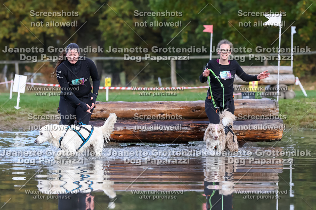 Dog Paparazzi - Strongdog 10-25-6904 | Dog Paparazzi Jeanette Grottendiek Fotografie & Videografie - Realisiert mit Pictrs.com