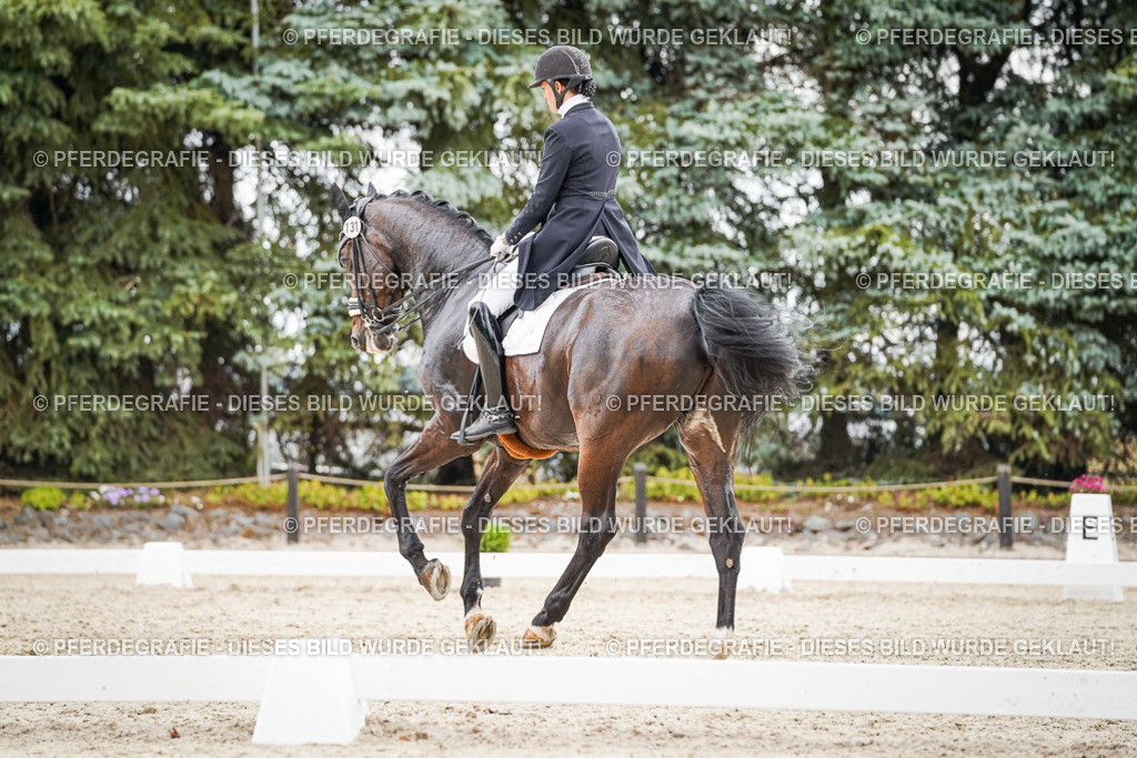 DSC06819 | Pferdegrafie