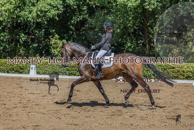 15.8.25 D1  DRE L (363 von 405) | mandyhollmannphotographie