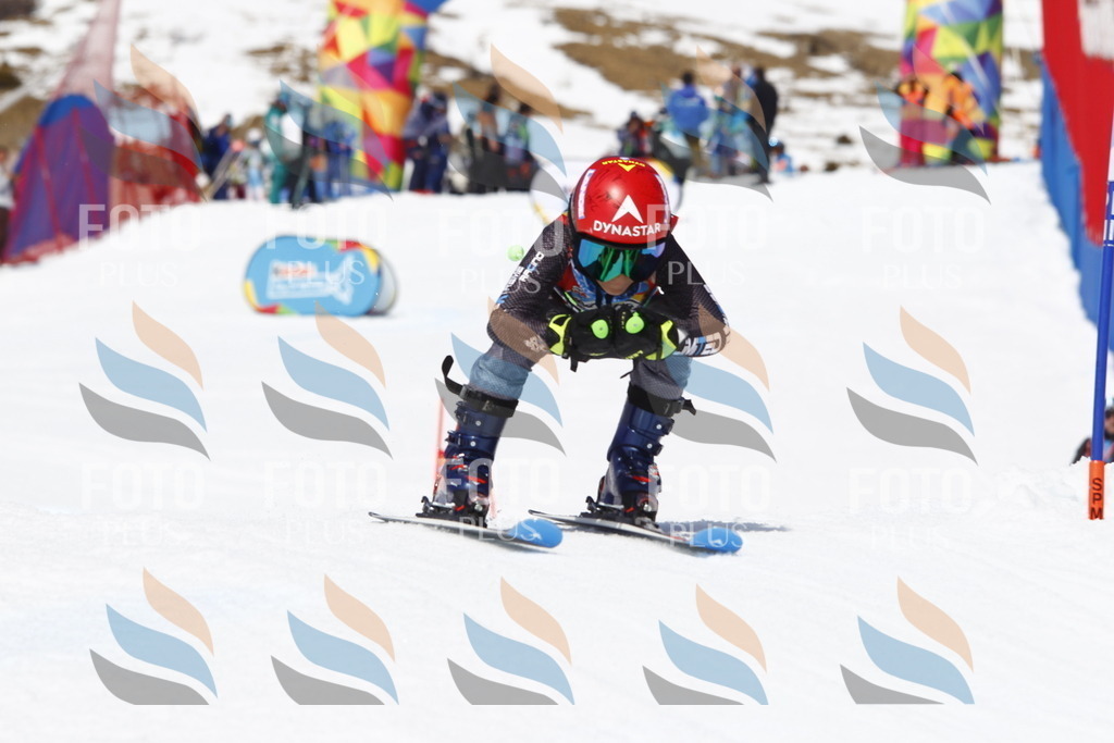 _U3G8231 | holidayphoto