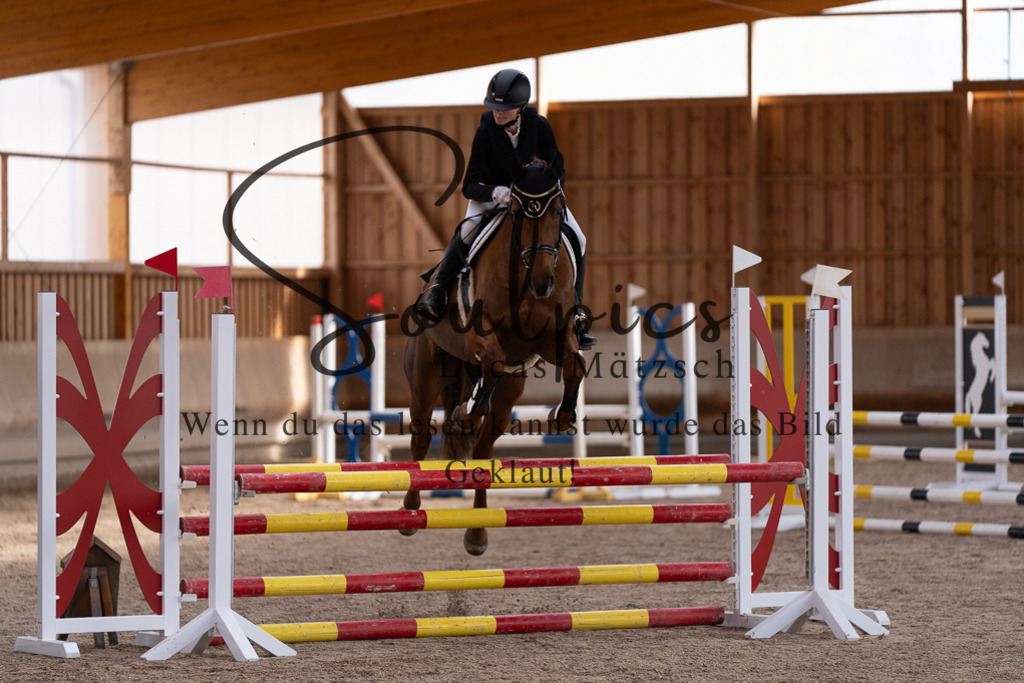 A7507731 | Pferdefotograf