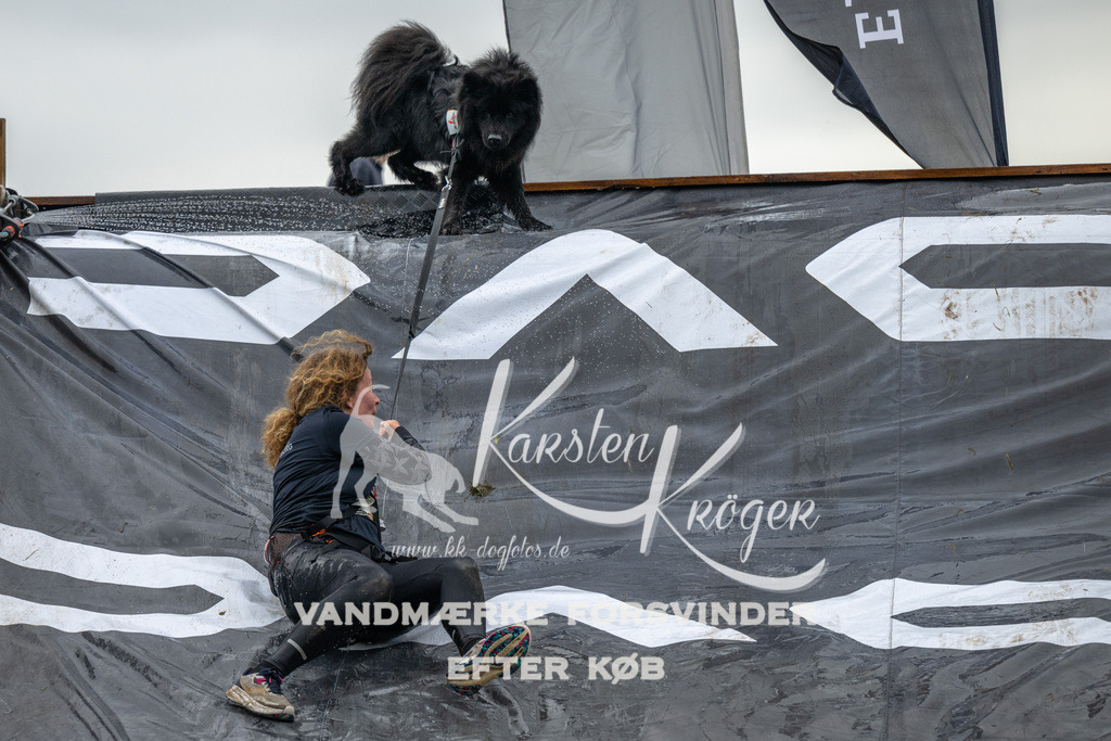 1607_ZZ92392 | kk-dogfotos