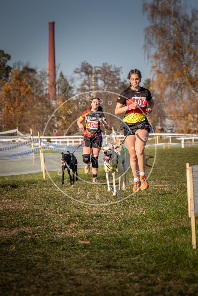 CaniXpix_0L8A8622 | Hundefotografie, Tierfotograf, Pfotenfotografie, Fotoshooting Hund, Hunde Portrait, Hundesport, Hundeportraits, Heideshooting, Hunde, Sportfotograf, Hundefotograf, Turnierhundsport, THS,  - Realisiert mit Pictrs.com