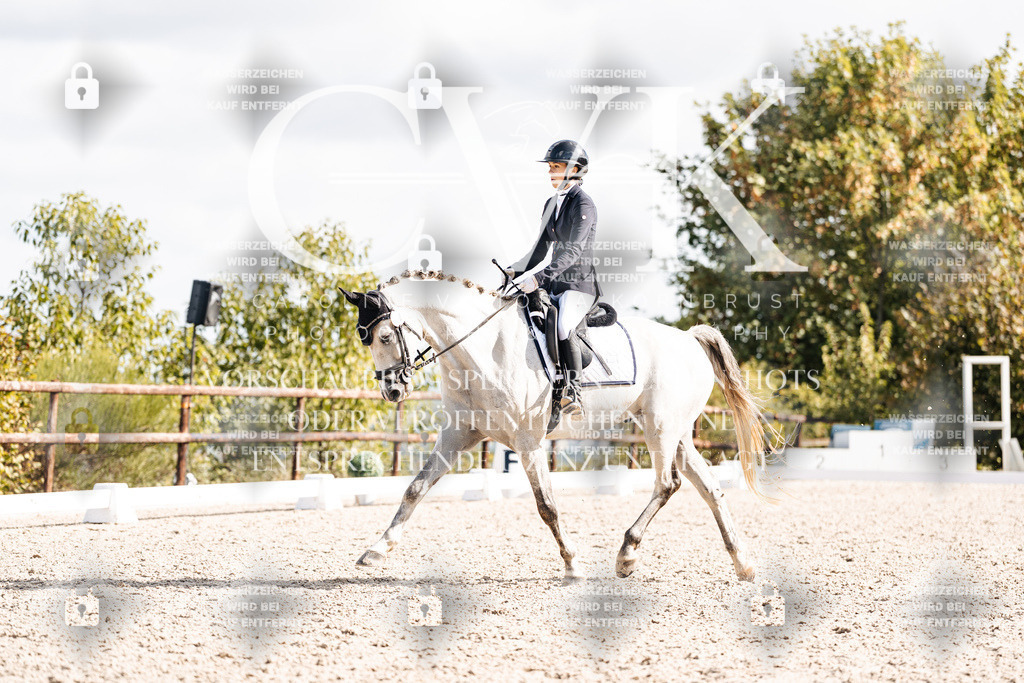 CK902022 | Turnierfotografie Pferdefotografie Trier Rheinland-Pfalz Pferdesport Reitsport Tierfotografie Sportfotografie Pferdevideo Pferdevideografie Equestrianvideography equestrianphotography  - Realisiert mit Pictrs.com