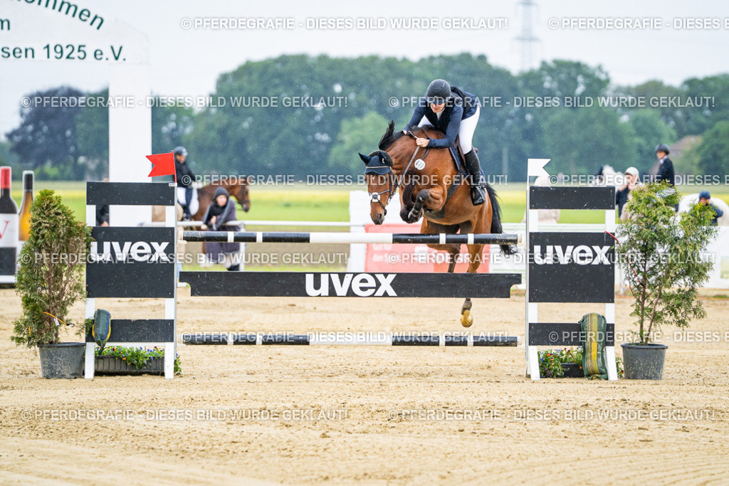 DSC07655 | Pferdegrafie