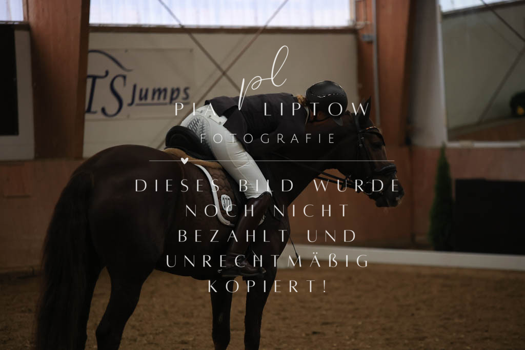 IMGT9434 | pl-fotografie