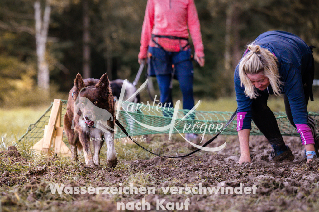 1227_ZZ94519 | kk-dogfotos