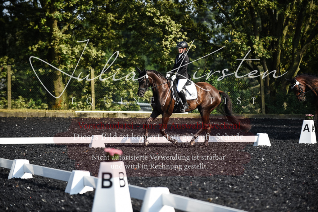 DSC_3187 | Pferde- und Turnierfotografie in Westsachsen. Pferdeportraits, Auftragszeichnungen und intuitive Kunst.