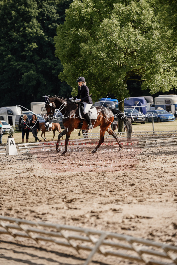 DSC_8796 | Pferde- und Turnierfotografie in Westsachsen. Pferdeportraits, Auftragszeichnungen und intuitive Kunst.