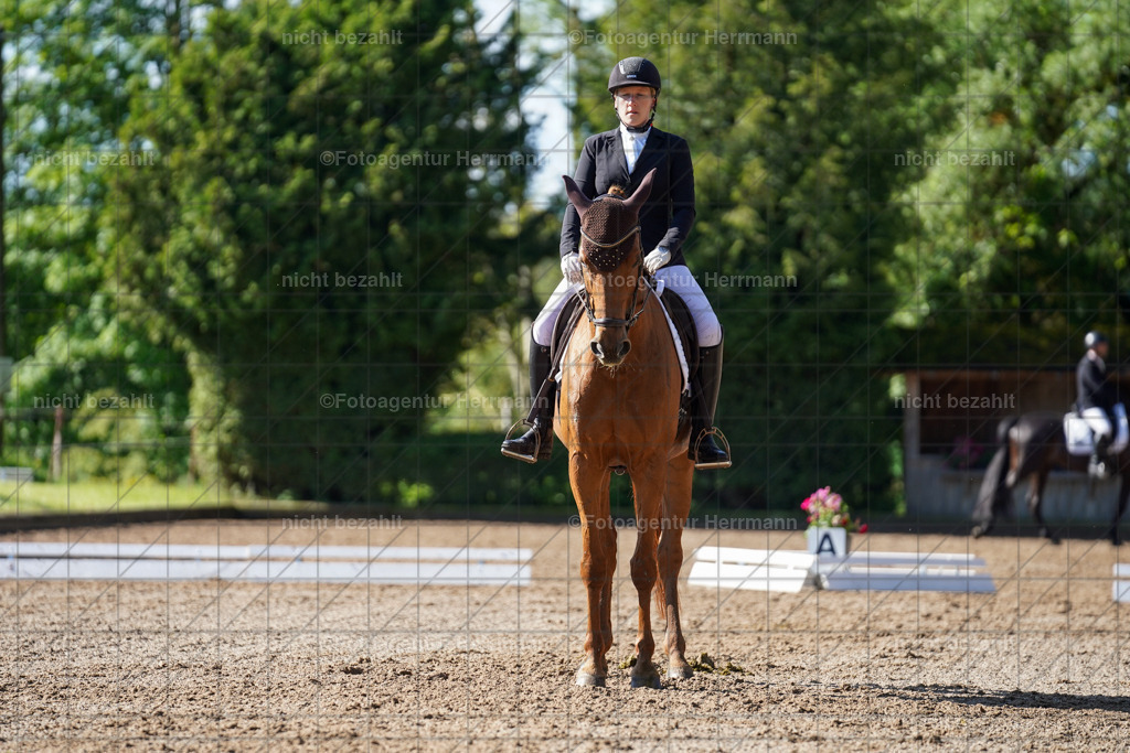 20240519-FAH04488 | Turnierbilder Niederseeon 2024, Vielseitigkeitsdressur, Reitsportbilder aus dem Landkreit Ebersberg, Gut Steinsee, RC Steinsee, Fotoagentur Herrmann