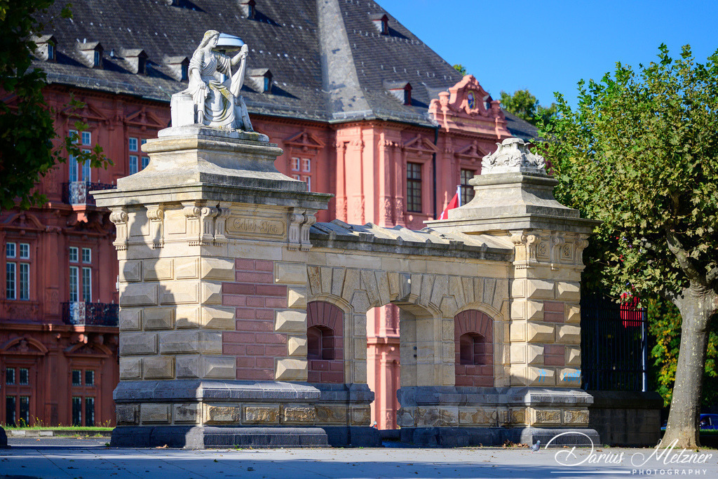 _DSC0258 | Fotografien, Fotos und Bilder aus Mainz, Frankfurt, Wiesbaden und anderen Orten auf der Welt - Fotografiert von Darius Metzner