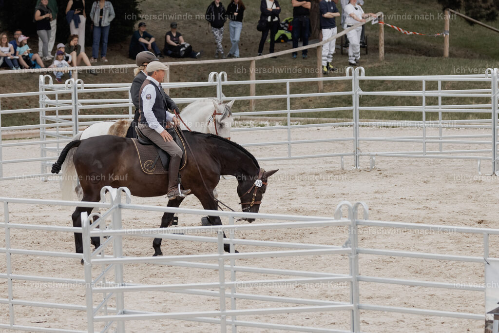 WE__Stoib_Rinder_PI2025_3055 | Pferd International München 2025