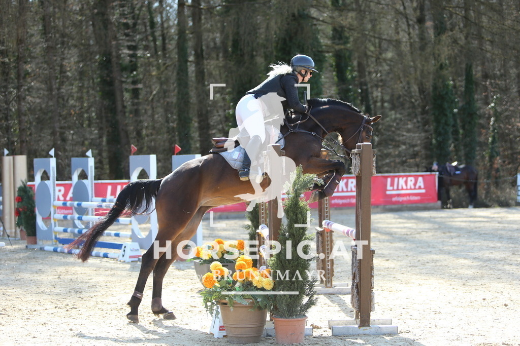 DL2Q3665 | Willkommen bei Brunnmayr - Design & Fotografie – Ihrem Spezialisten für Reitturniere und Pferdeveranstaltungen in Oberösterreich, Salzburg und Bayern! Seit über 17 Jahren sind wir leidenschaftlich dabei.