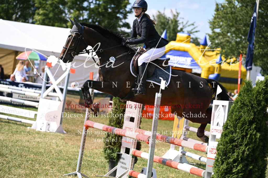 DSC_0526 | Pferde- und Turnierfotografie in Westsachsen. Pferdeportraits, Auftragszeichnungen und intuitive Kunst.