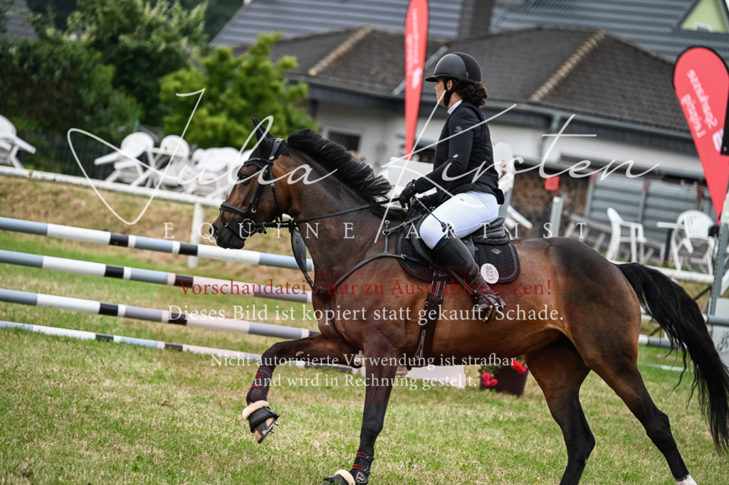 DSC_8426 | Pferde- und Turnierfotografie in Westsachsen. Pferdeportraits, Auftragszeichnungen und intuitive Kunst.