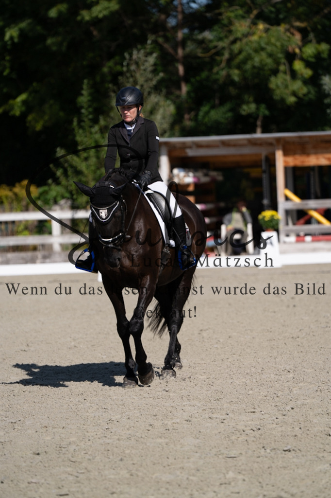 A7V06986 | Turnier/Reitfotograf