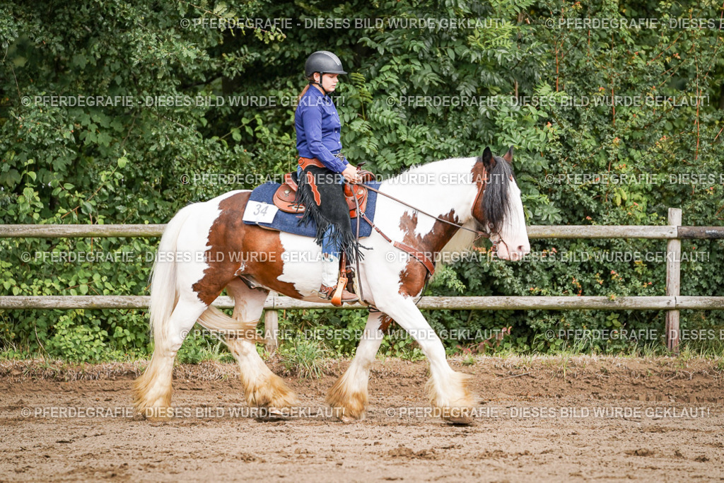 DSC07678 | Pferdegrafie