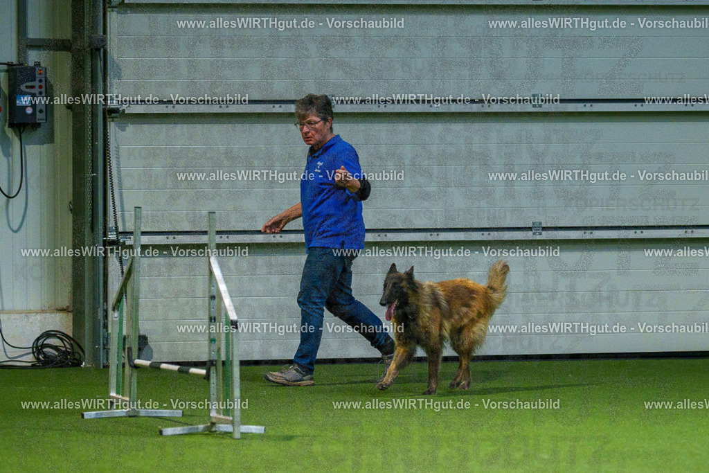 7R507878 | Professionelle Tierfotografie in Mönchengladbach von Daniel Wirth (allesWIRTHgut). Liebevolle & natürliche Bilder von Hunden & Katzen für unvergessliche Erinnerungen.