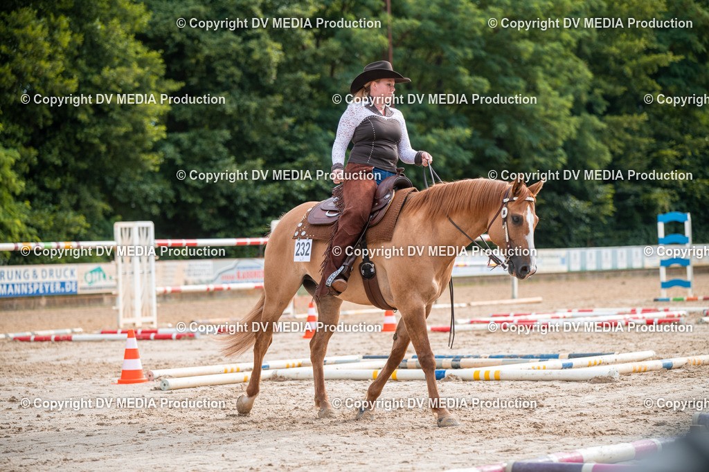 ZS3_9168 | dv-media-shop - Realisiert mit Pictrs.com