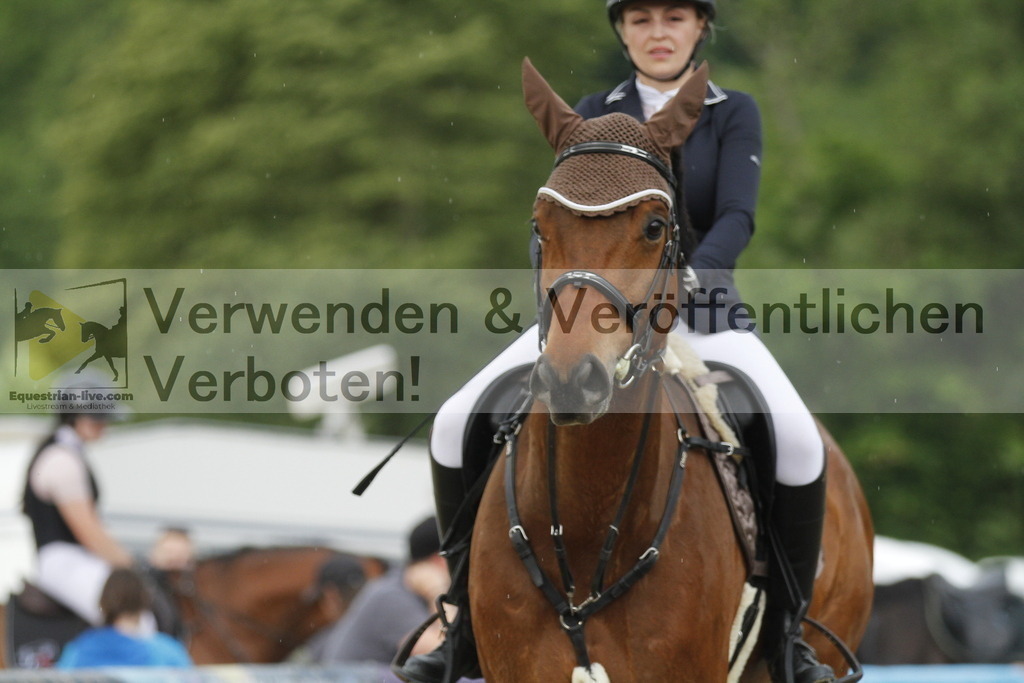 _MG_6571 | equestrian-live-com